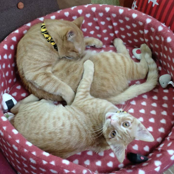 14131e35 8639 4c57 9ee3 5043e906fdf6 1675327169838