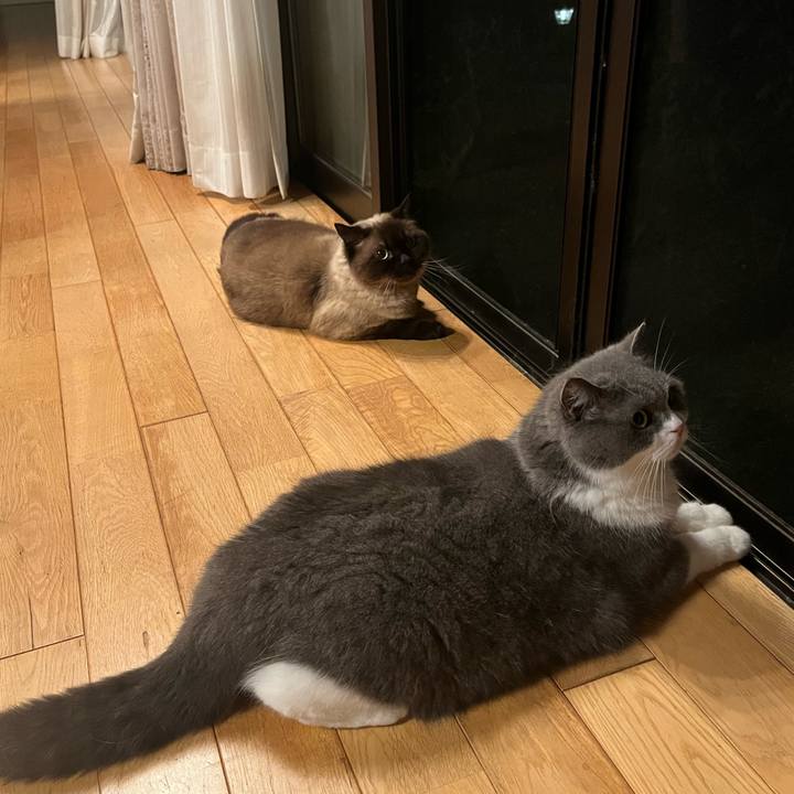 141336c5 61fb 4d98 9481 5fc7b7f1990d 1687869502766