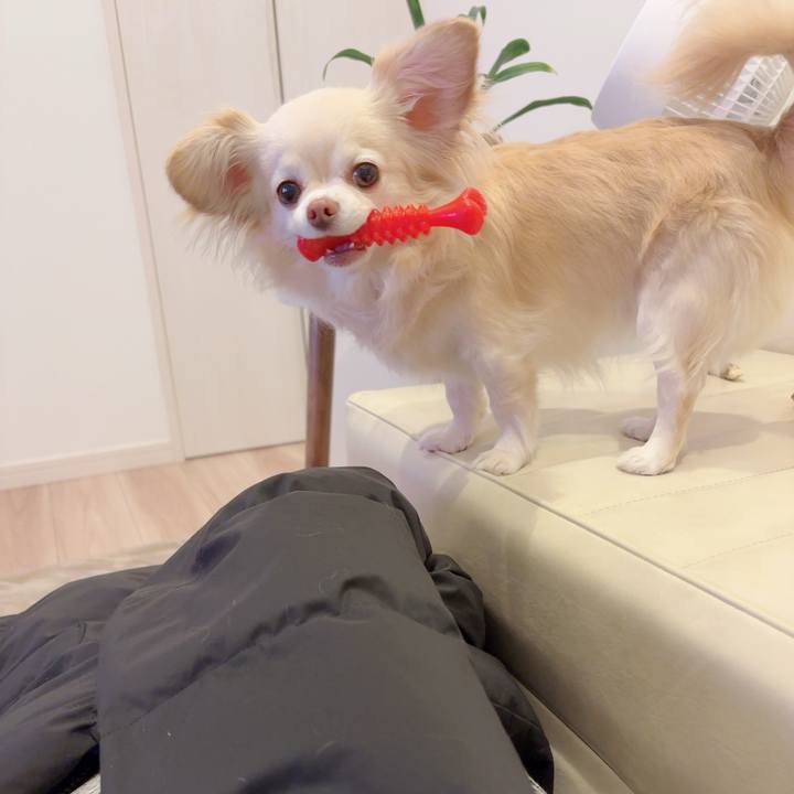 141356b0 23f1 4e18 ab29 87b920776bfe 1775132670262