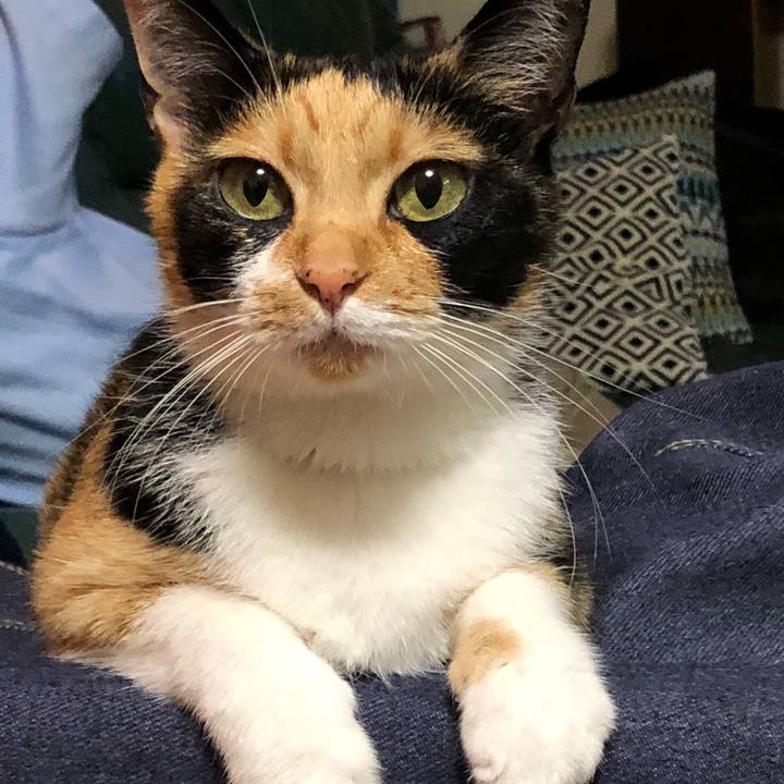 1413ba42 e4c4 42ca 9575 e97f0fdd24d6 1530536732714