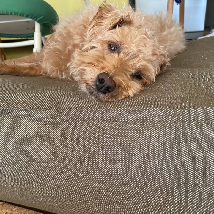 1413f6e9 7e93 49f9 aa34 26ab3bc17c8c 1661064542864