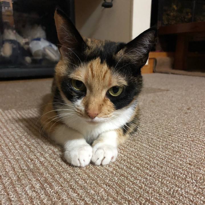 14143dbd 9080 45c7 a33a 4a2b715859ee 1545298931064