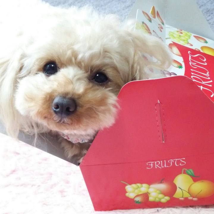 1414505d 140d 4108 8178 957090553054 1526296789265