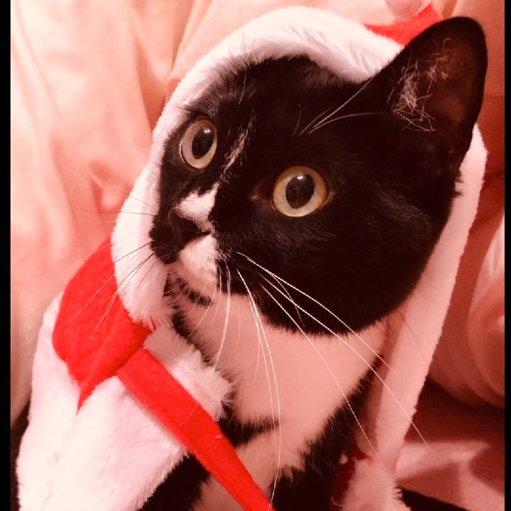 14145a69 9381 4389 99d0 c93543b548b2 1571176616102