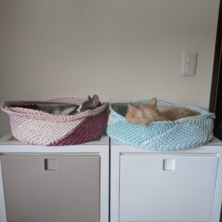 14146255 ffed 4a4b b3e4 888c628b960e 1758156312562