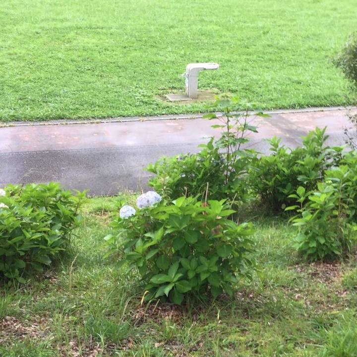 14146327 0c36 4740 b24a 76a6bee8c078 1626148751575