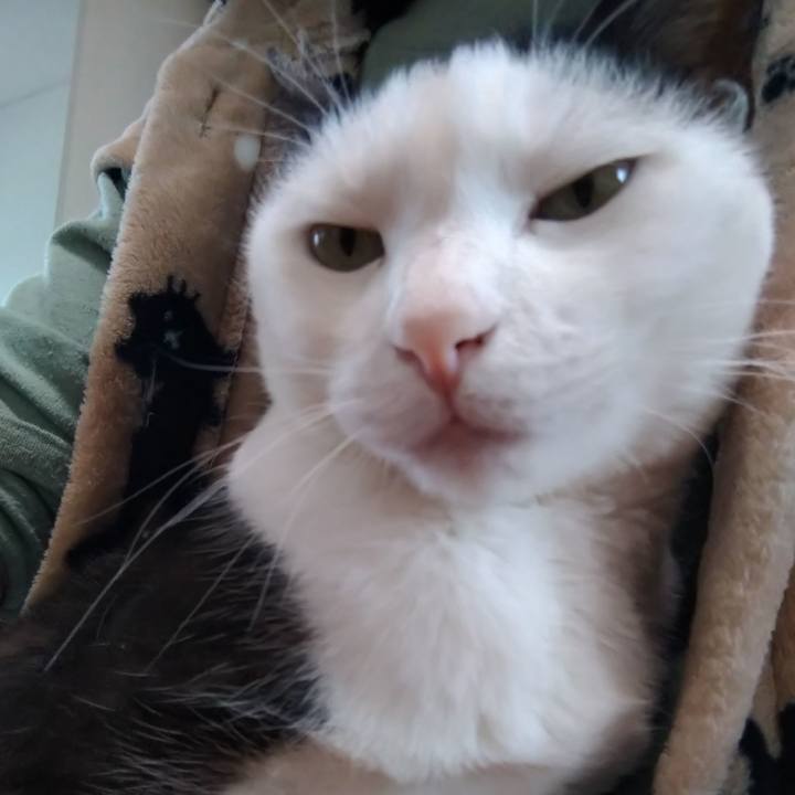 14146378 0b8e 4c8e 838d a4629be931e3 1587432756218