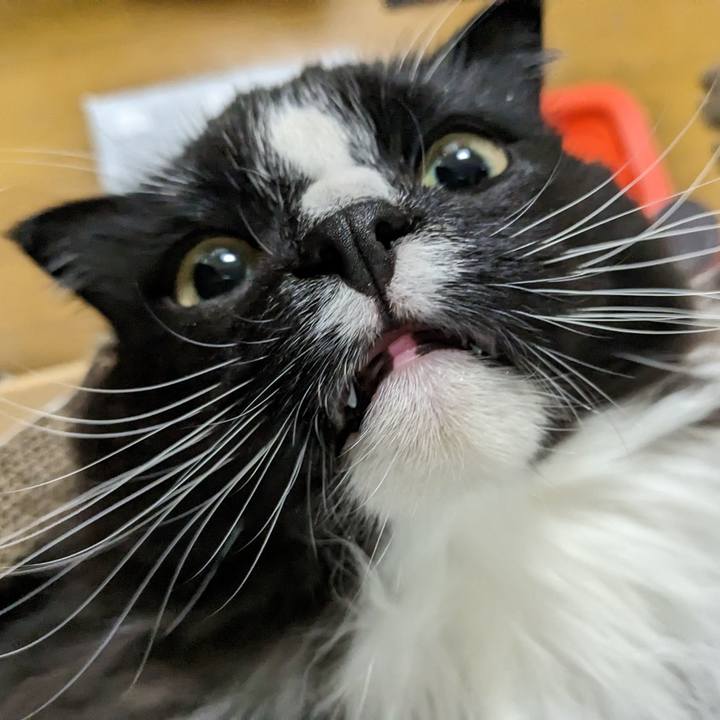 14147ea0 f77c 4a62 b673 0535648c76b9 1671404268414