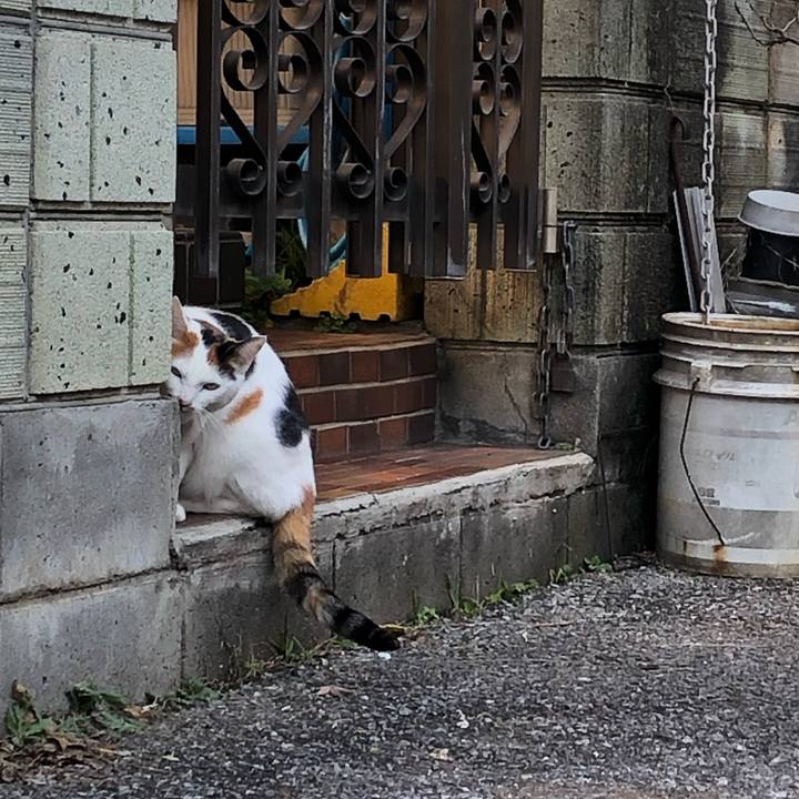 1414943c b835 4433 bbf1 209d57d82caf 1583131351051