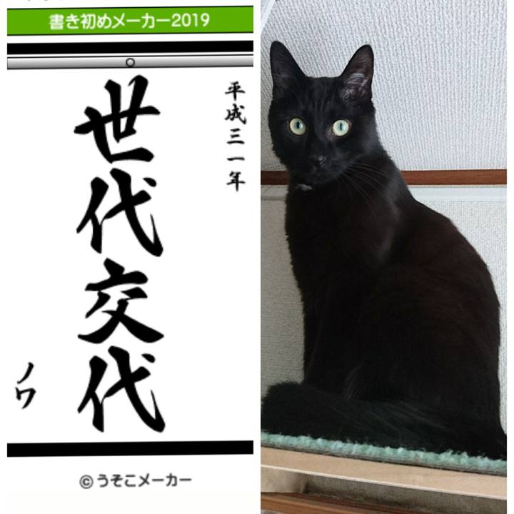 1414a14c 7d69 45d7 b93e 7a54ff1a8523 1546499603636