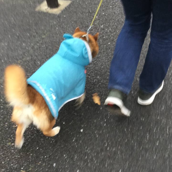 1414c16d 03db 4967 b699 2e007926c0c3 1620204883011