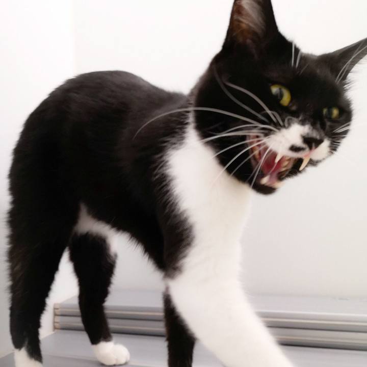 1415061e 00d8 41d1 80cd d3cf8d6d0aef 1575907838136