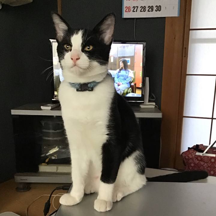 14152450 2ef4 40f3 8bfe 8aa46379d196 1631228915877