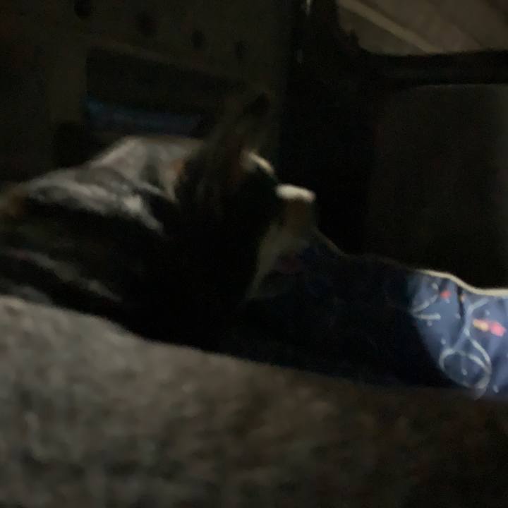 14153431 34ac 41ec 8acc 006da8325c89 1571529570777