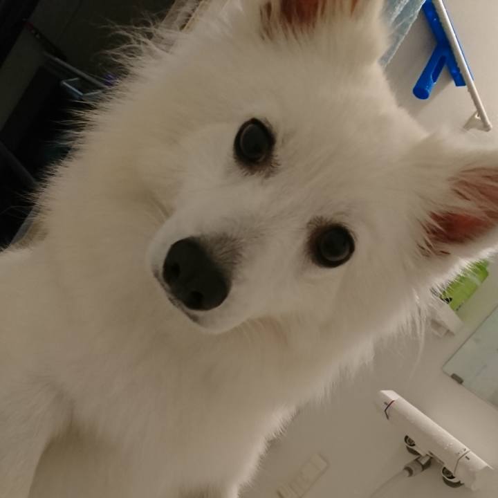 1415bd86 7c56 4564 ac7e 01356908c9dd 1543931104751