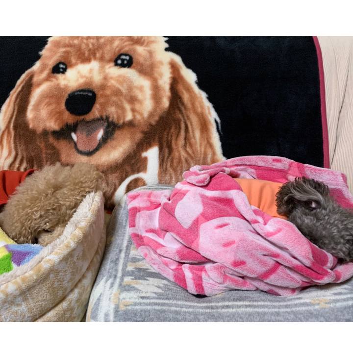 1415d8e3 cd02 4583 9917 a91fd4577bc3 1578699649781