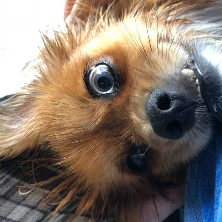 1415dc53 79f1 450c a34d ee5c704dee6b 1532561146673