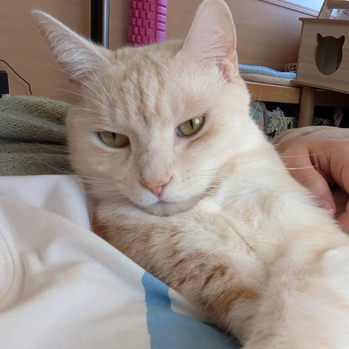 1415e379 fcf5 4370 8613 4b7d816c9871 1764998861200