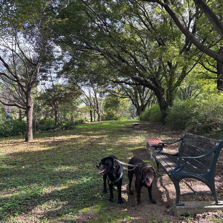 14160b16 7826 4ba4 8ff0 3d2ee94f2eb5 1760446400633