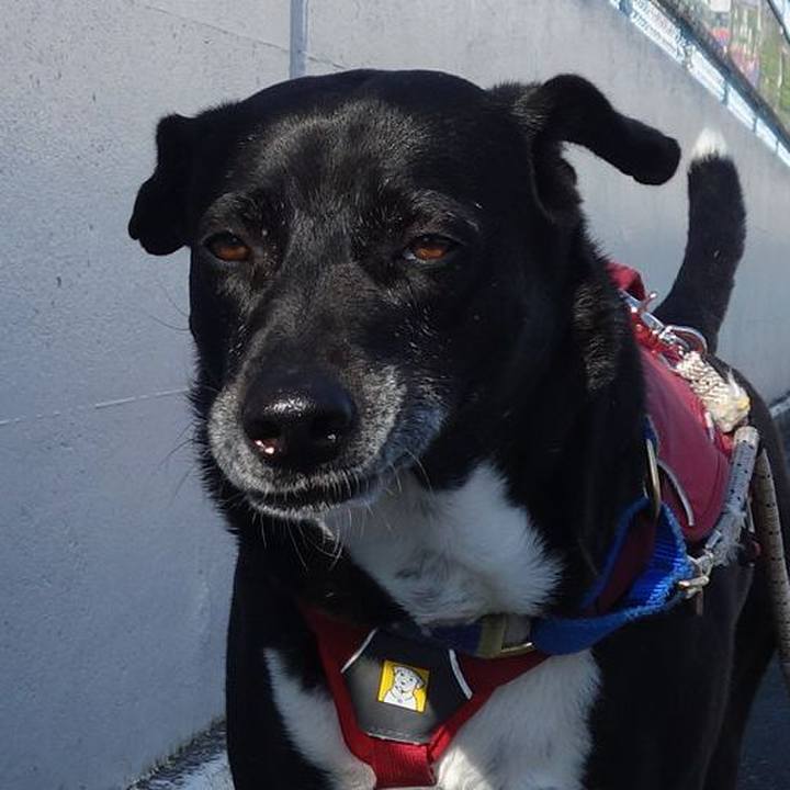 141636c7 d31c 48eb a935 f77e24a57e9a 1683678913091