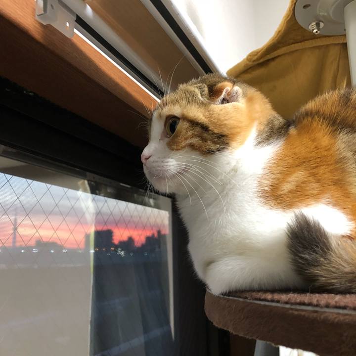 14166752 6ec4 46af a2dd a733f475000c 1516090299480