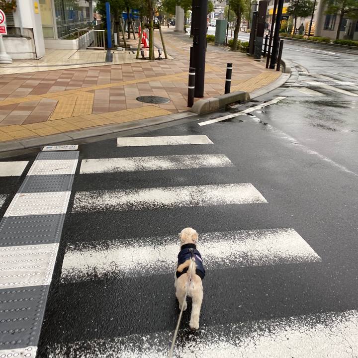 14168731 2470 4fbc 9a10 67be528ec03e 1575248572892