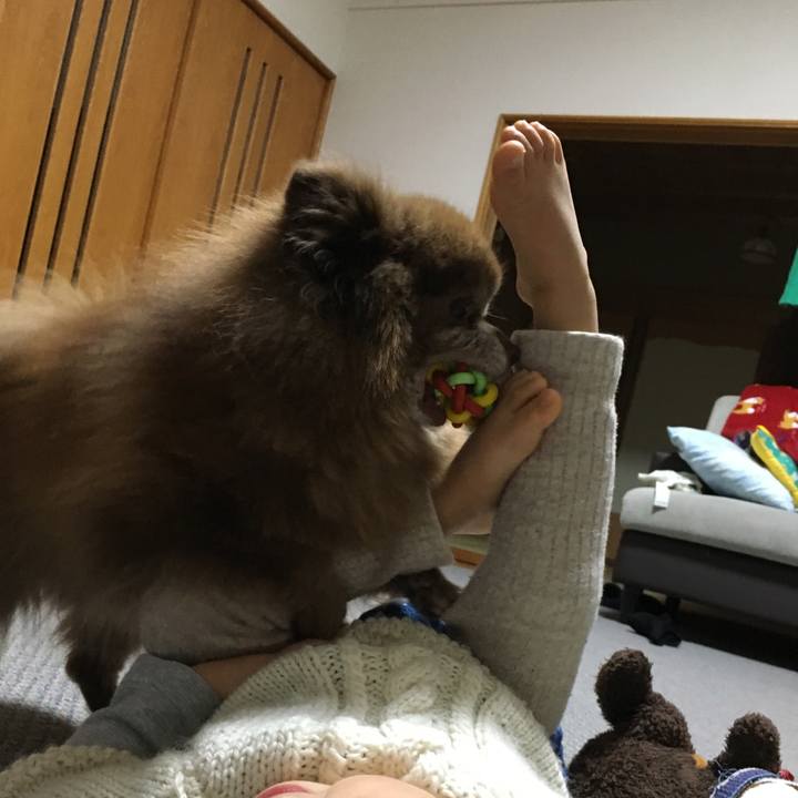 1416a012 1a7c 4088 b4da 5a92ac04c428 1516624393134