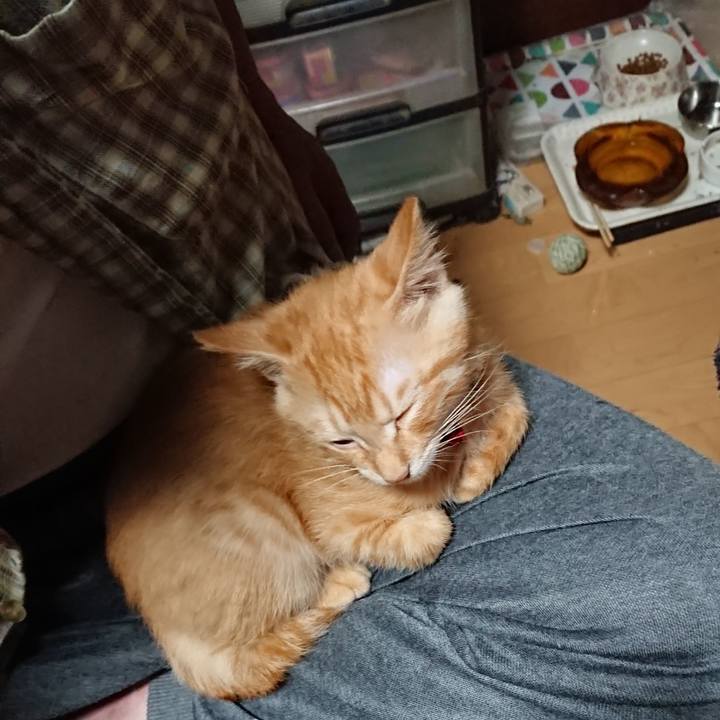 1416c36d c526 4512 96cf 3a8116faff65 1631526378007