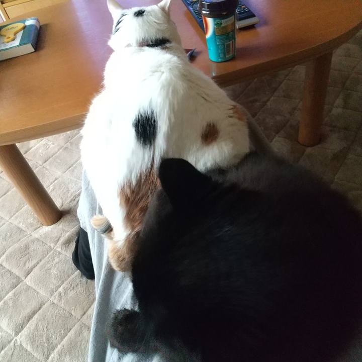 1416ccc5 a649 4f0d a641 dd1387bdf126 1653976820598