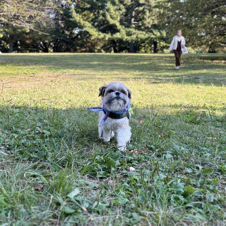 1416d2d4 d20c 4b1f 8d3c fde81b430276 1761825260187