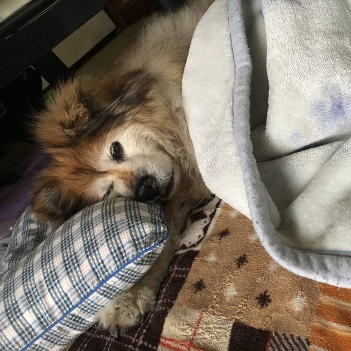 14170690 5916 4769 8c72 822782051aac 1568592767575