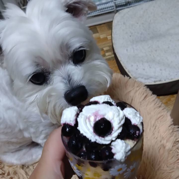 1417089e 2c2a 4686 a661 a98349e7cf62 1691925324987