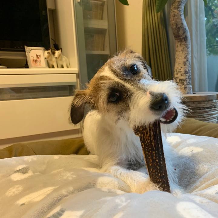 14172ceb 9c61 474e 9b54 483ad1876011 1574577961417