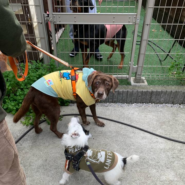 14173143 2a4d 46af ba80 3f783e48d46e 1731540749450