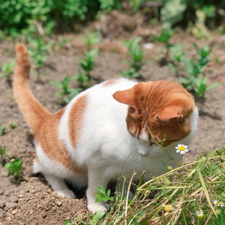 1417433e 0a92 4d8d 9e6c c97a02958404 1529043410831