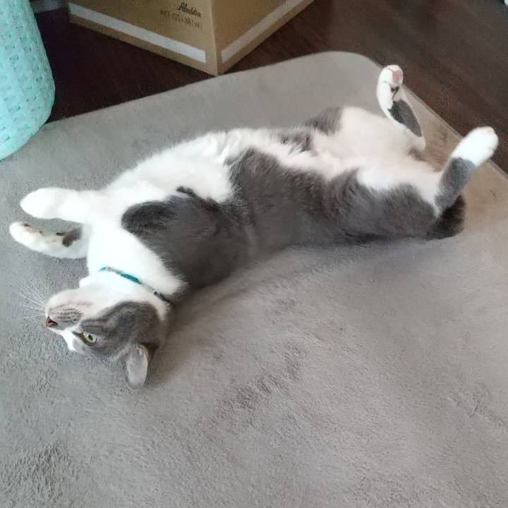 14179a6f 2c35 45bd 9d46 f17e61328583 1619561292622