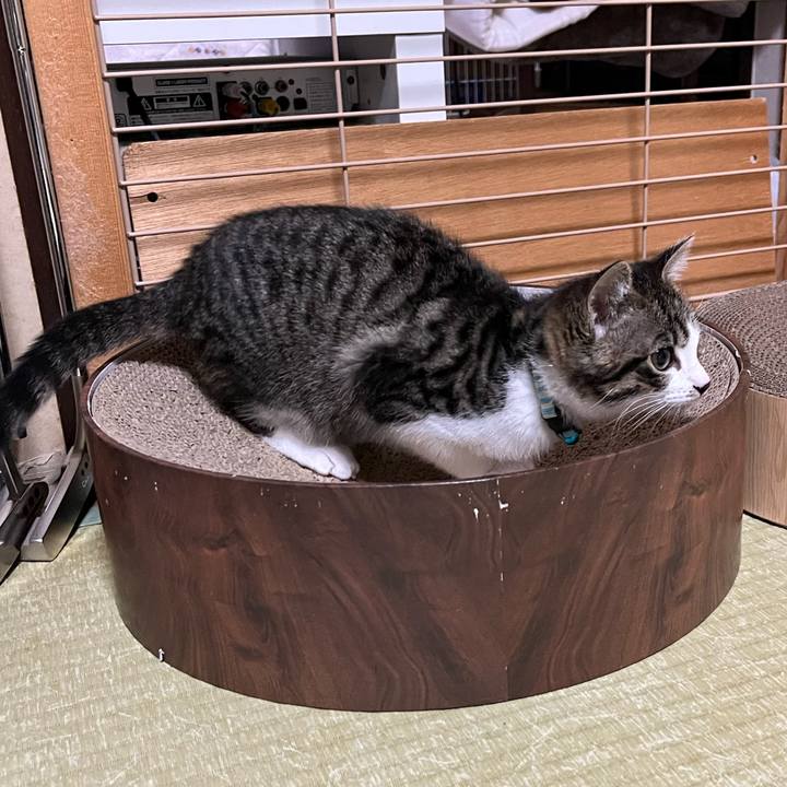 1417e3a5 9230 47dd 80c7 0a6273f02750 1768534338275