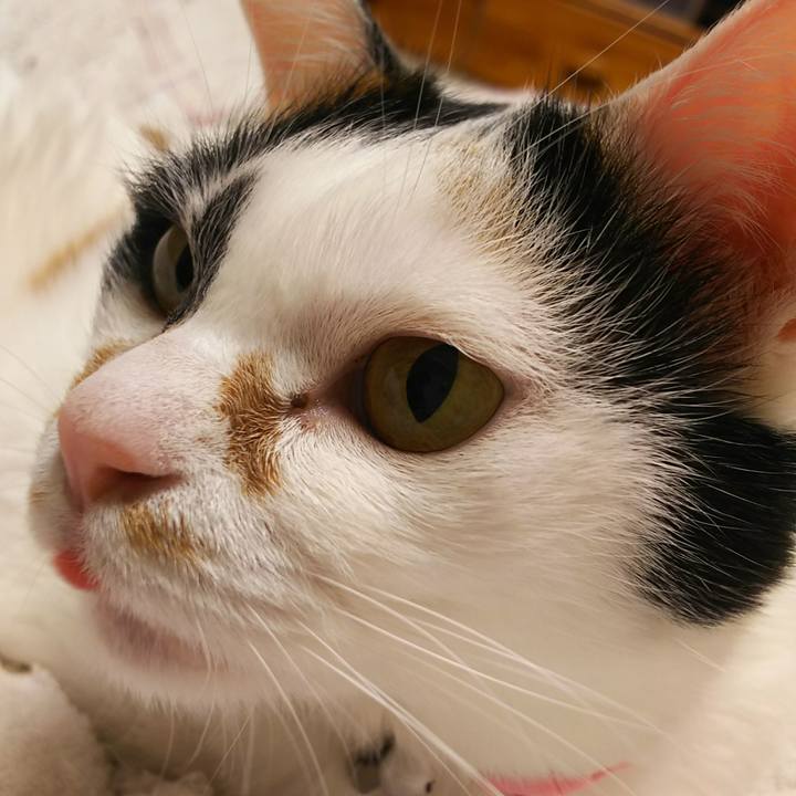 1417ef10 929f 43f4 917d 0db08baf6ab5 1548251399820