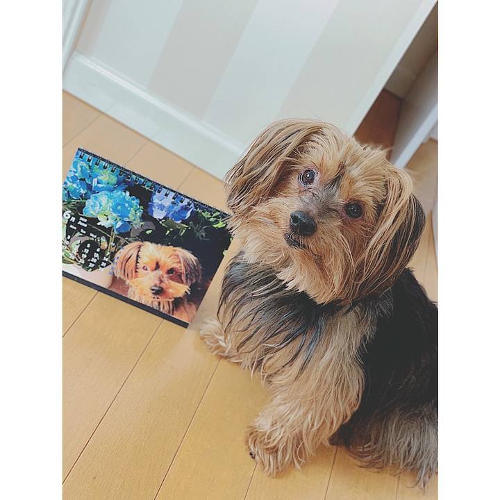 141820c6 8659 42d9 94a5 94d142d83368 1559346476246