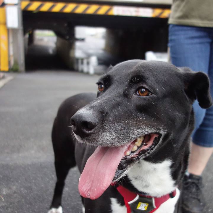 141870e6 42a8 43b7 bd29 f6f5c53f7ba6 1660437726794