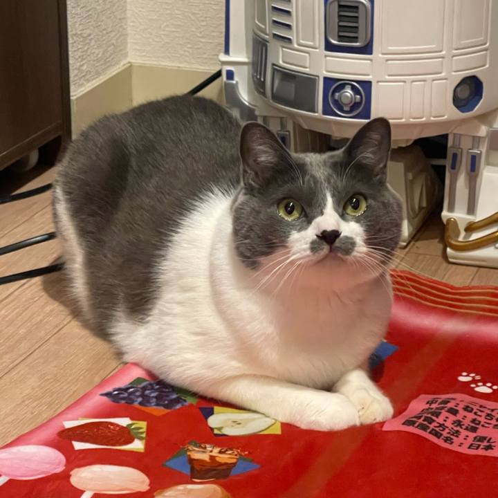 141879e4 68b1 4eb1 a8e9 5f11911708c3 1733040628261