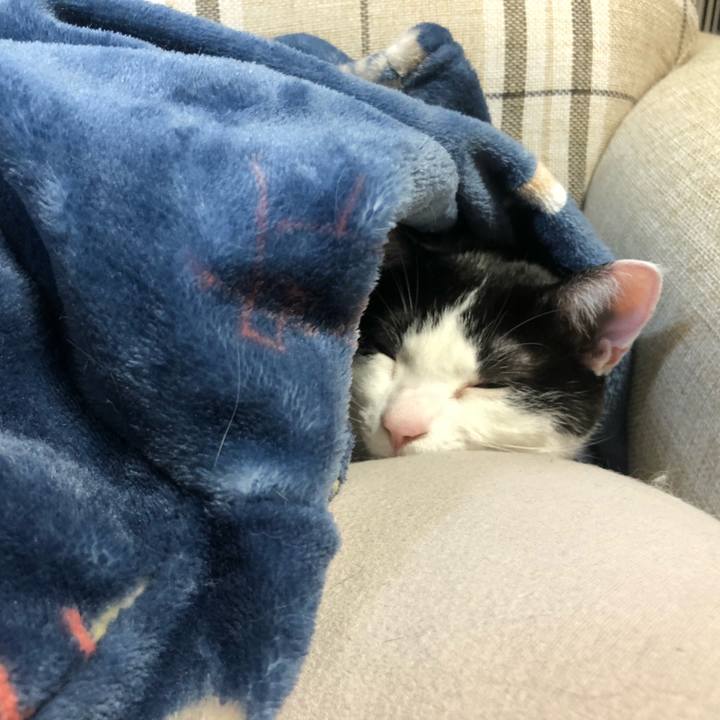 14188062 1157 47b5 91ed 23e1f8e445db 1616131881838