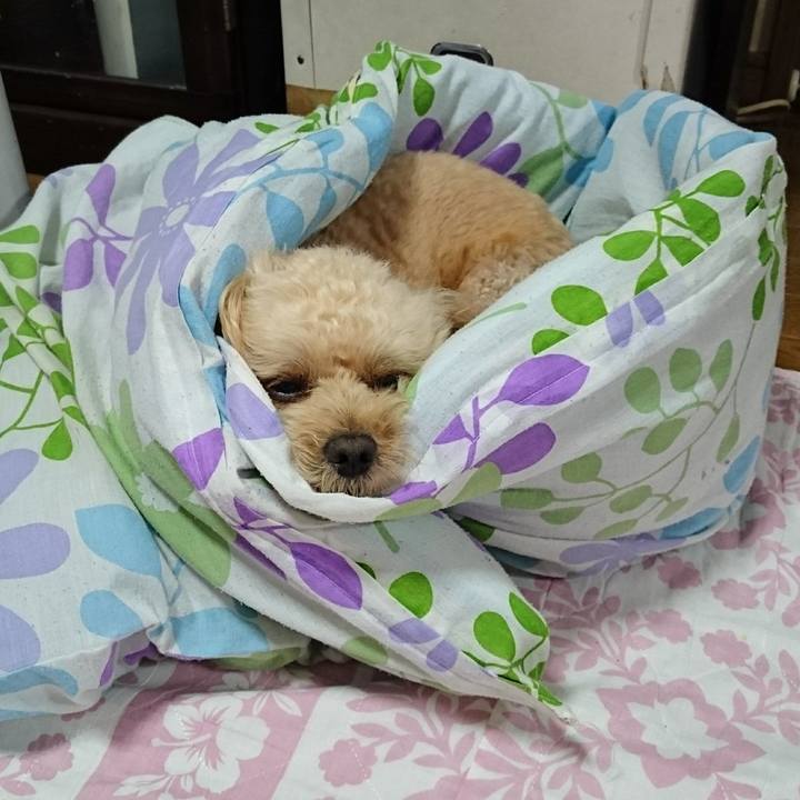 14189e80 e7fb 454e a01e 52faf7fa230f 1570573832469