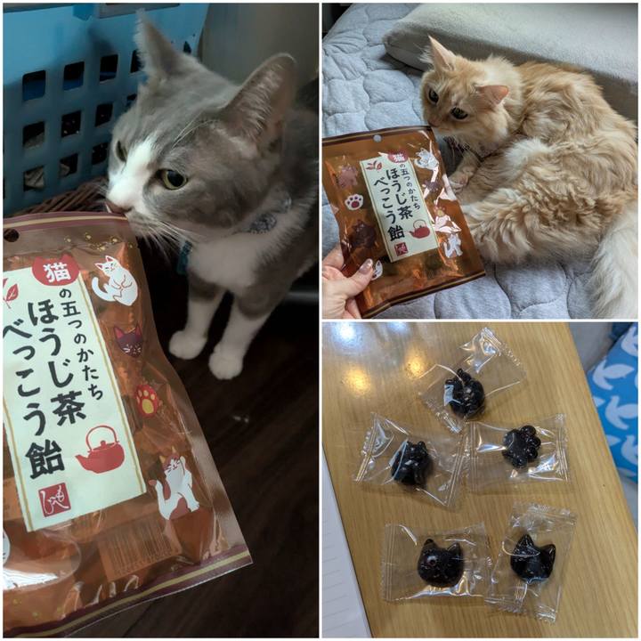 1418c42b 6580 4c18 ba47 9616de4e6fd6 1758880970201