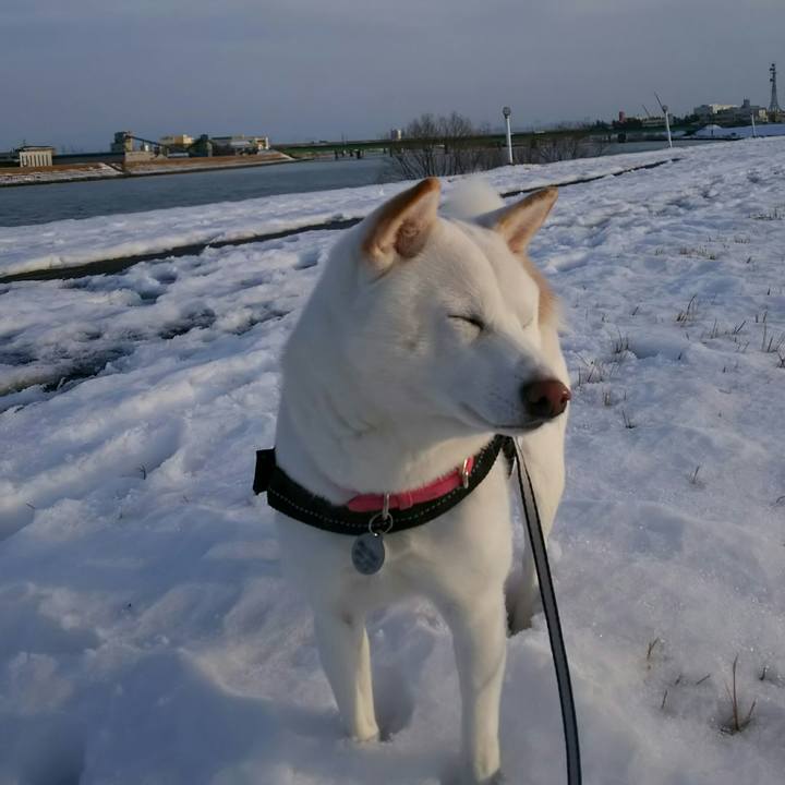 1418deb7 35fb 4d12 982b 416256ac12ab 1517558550403