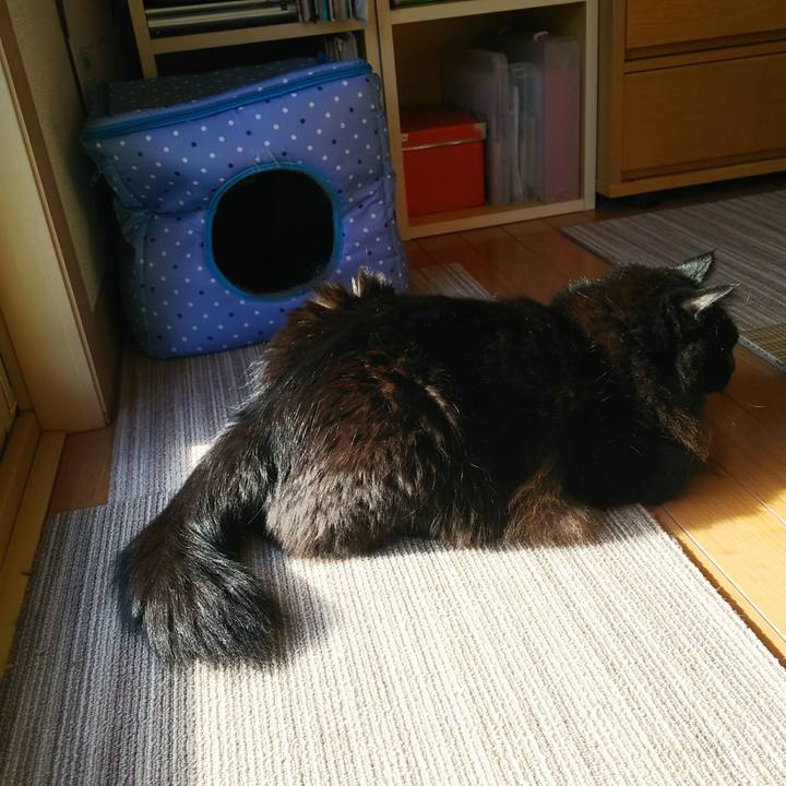 1418ec14 73f0 4b1b b2f9 052f411ff123 1543030825976