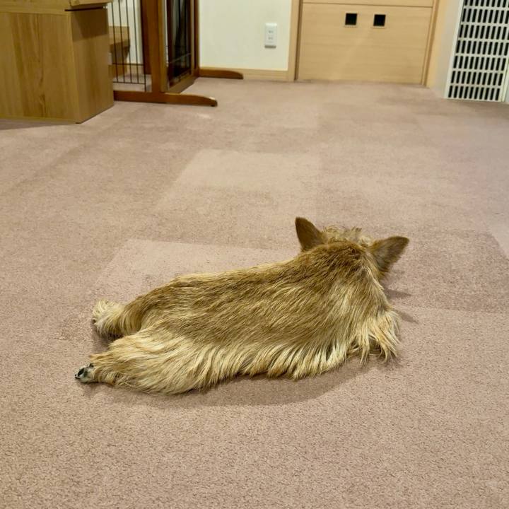 14190aac 04f2 4618 bc4c c84cec3faa71 1726409526746