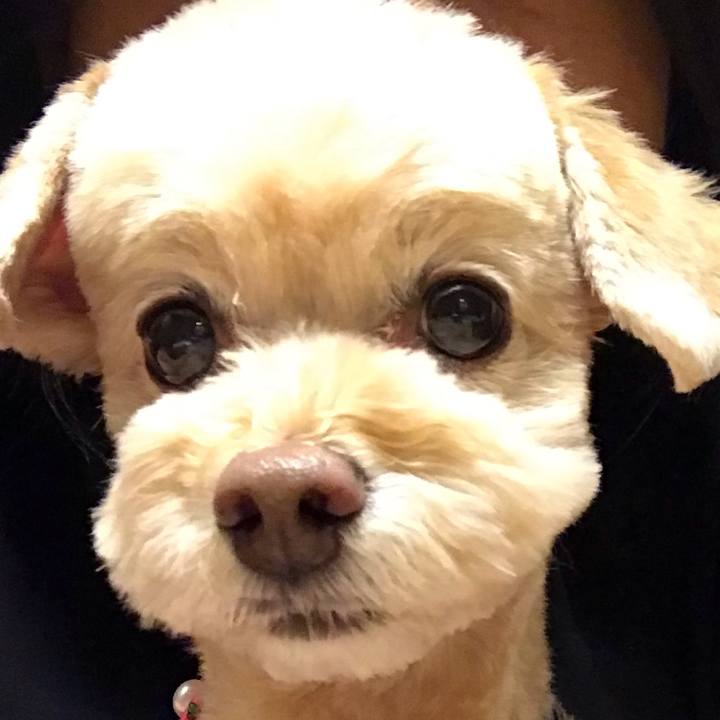 1419112b dd5b 45e4 a28b 3dbd8f0b46ec 1559738788146