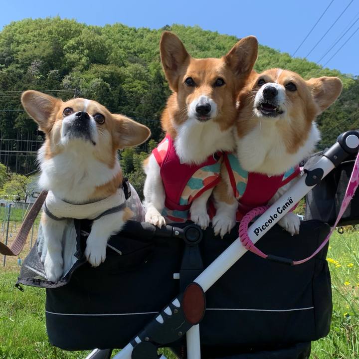 141925d1 f453 4dbf 94e7 90a3a1600f99 1618456439567