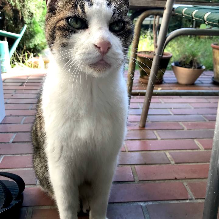 14193519 f97e 4443 811e 3b331247b591 1603943422491